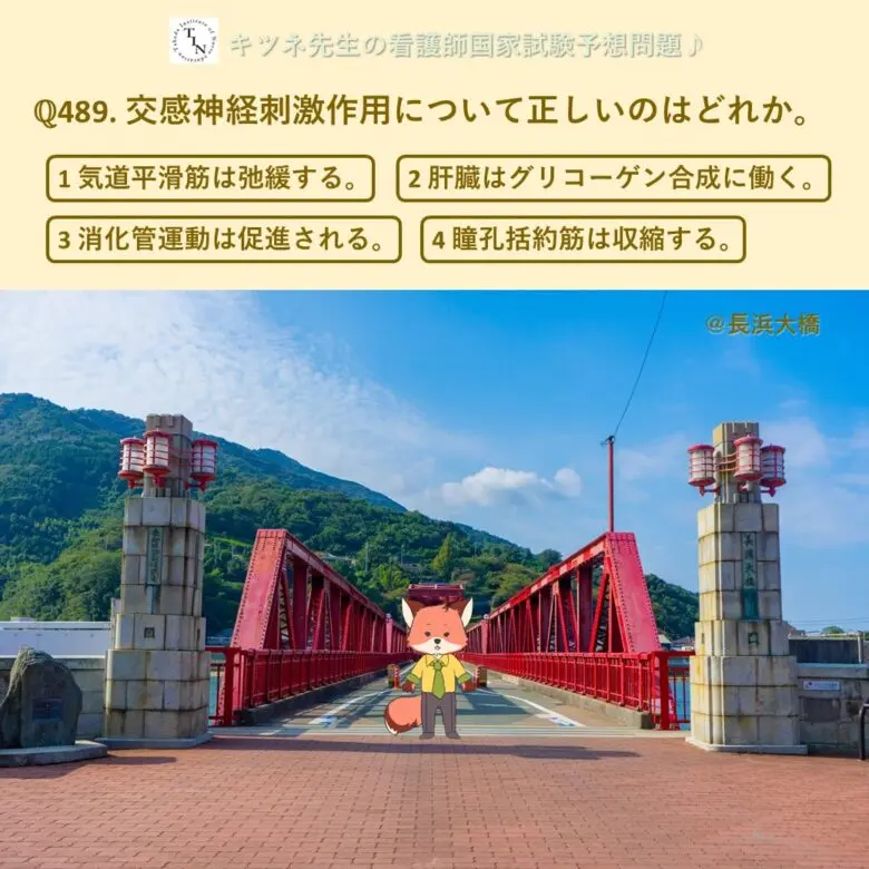 キツネ先生の看護師国家試験予想問題489 | 業界初の個別指導塾